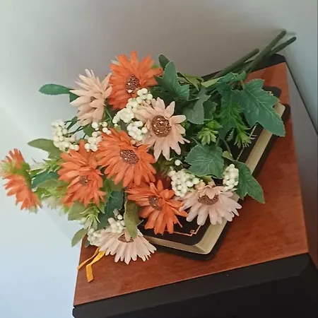 شقة Studio Perucac *