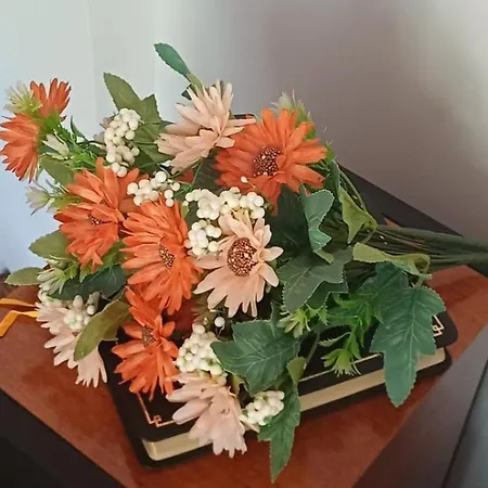 Studio Perucac * بيروكاك